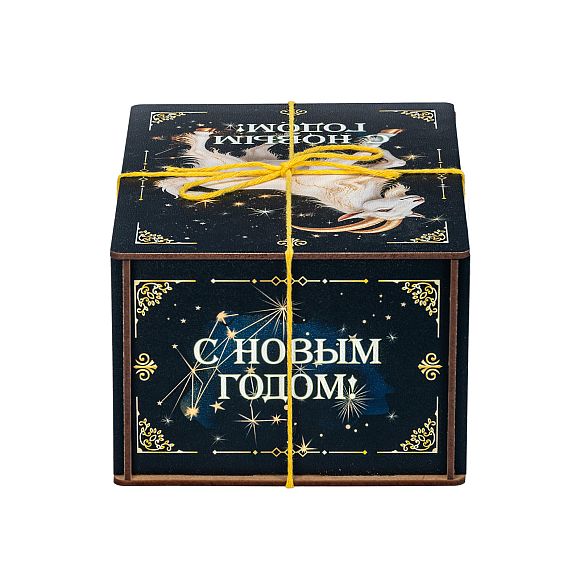 Сладкий новогодний подарок Сладкий подарок «Созвездие Козерога (Бюджет)»